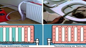 adana-petek-temizligi-300x168 adana-petek-temizligi-300x168